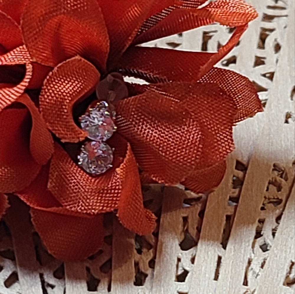 Elegant Studded Earrings
